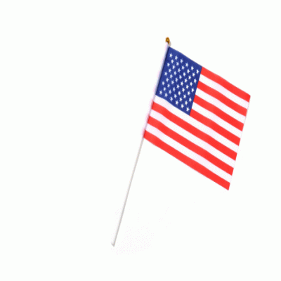 2024 UEFA European Championship national flag waving flag customization 