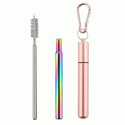 Portable folding metal straw set-Printed With Your Logo 