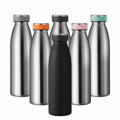 Customized Hot Selling Outdoor Sports Stainless Steel Tumbler-Good product from ProductClub 
