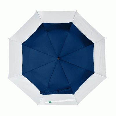 Eco-friendly RPET Auto-Open Folding Umbrella-Good products from ProductClub 