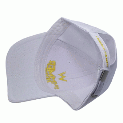 Wholesale Customized Combed Cotton Embroidered Advertising Hat Baseball Hat Peaked Cap-Good products from ProductClub 