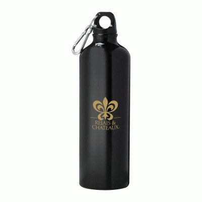 Portable Aluminum Sports Bottle with Carabiner-Good products from ProductClub 