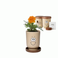 The Gift of Nature -Custom Branded Goofy Group™ Grow Pot Eco-Planter with Marigold Seeds — Printed With Your Logo