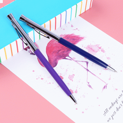 Amazing Hot Selling Hotel Ballpoint Pens Thin Rod Gift Advertising Metal Pens-Good products from ProductClub 