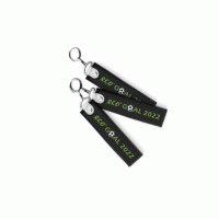 Customizable Eco Friendly GRS Certified Recycled PET Key Chain-Make your brand ubiquitous