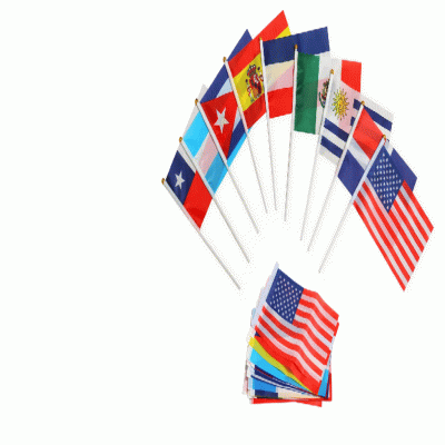 2024 UEFA European Championship national flag waving flag customization 