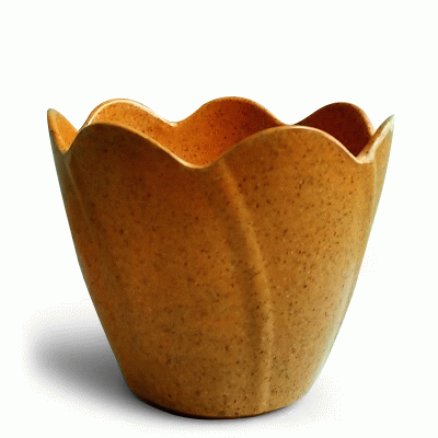 Custom Branded Mini Planting Kit, Value, Coffee grounds/plant fibers/biodegradable— Printed With Your Logo 