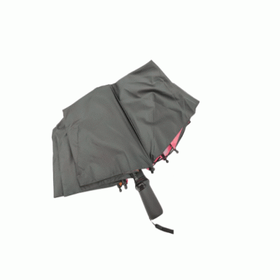 Fashion Promotional Gifts New Design Double Layer Folding Gift Umbrella Automatic Open Super Waterproof Blue Tooth Umbrella with Inside Printing  