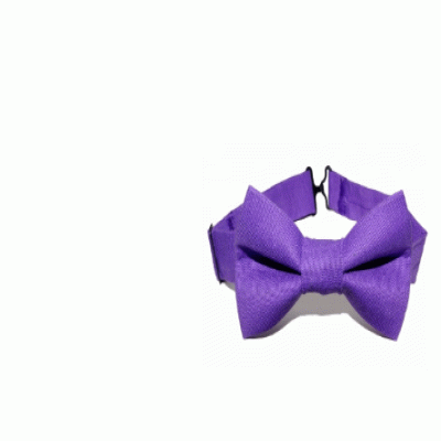  Customized Promotional Bowties  