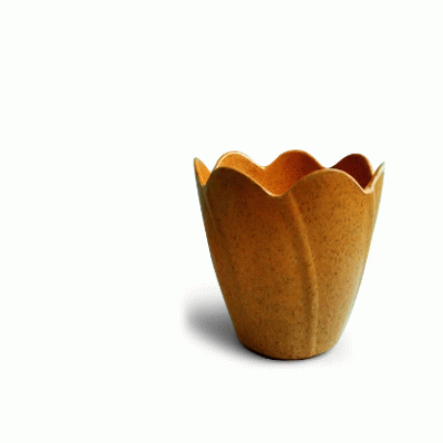 Custom Branded Mini Planting Kit, Value, Coffee grounds/plant fibers/biodegradable— Printed With Your Logo 