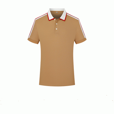 High Quality Business Men's Summer Polo Shirts, Advertising Shirts, Mercerized Cotton Polo Short Sleeved Work Cothes-Good product from ProductClub 