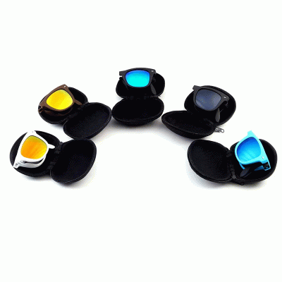 Fashion Hot Sale PC Lenses Folding Sunglasses with Case-Good products from ProductClub 
