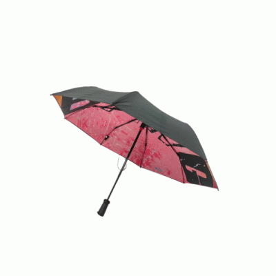 Fashion Promotional Gifts New Design Double Layer Folding Gift Umbrella Automatic Open Super Waterproof Blue Tooth Umbrella with Inside Printing  