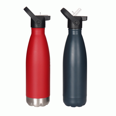 Customized promotions Portable Outdoor  Stainless Steel TumblerGood product from ProductClub- 
