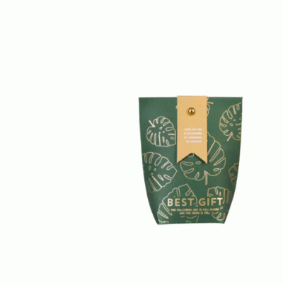  Eco Friendly Recycled Paper Customized Sweet Packing Bag/GIFT BAG 